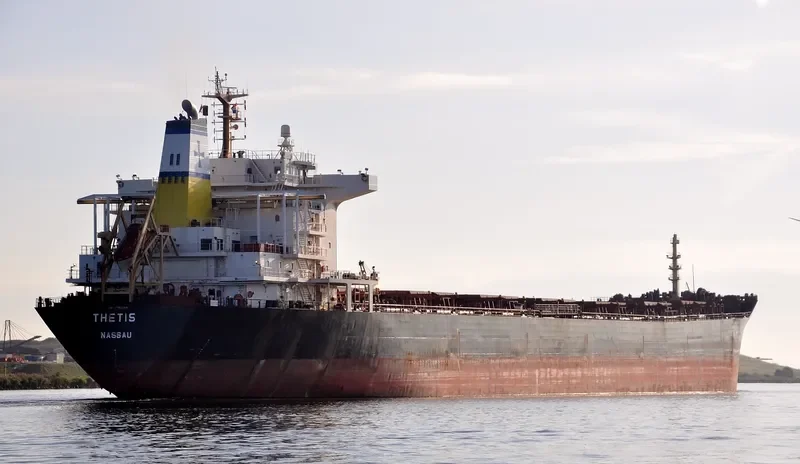 TAILWINDS Bulk Carrier IMO 9283992 photo 10