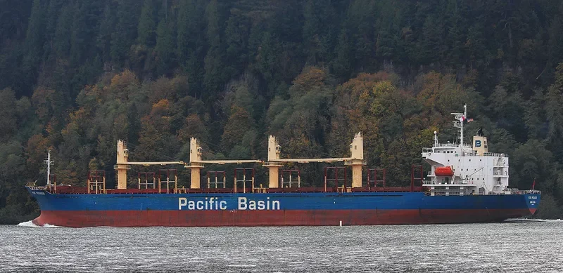 PORT PEGASUS Bulk Carrier IMO 9284001 photo 4