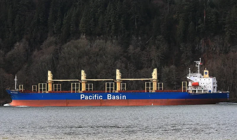 PORT PEGASUS Bulk Carrier IMO 9284001 photo 6