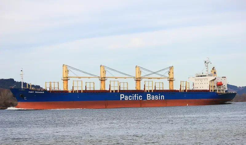 PORT PEGASUS Bulk Carrier IMO 9284001 photo 7