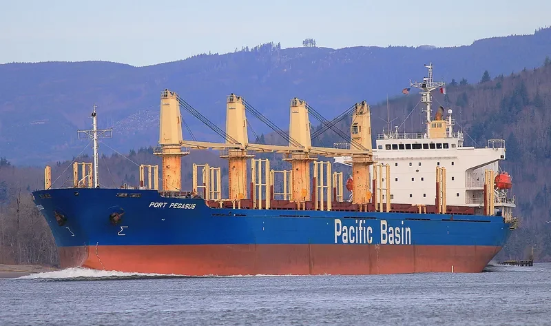 PORT PEGASUS Bulk Carrier IMO 9284001 photo 8