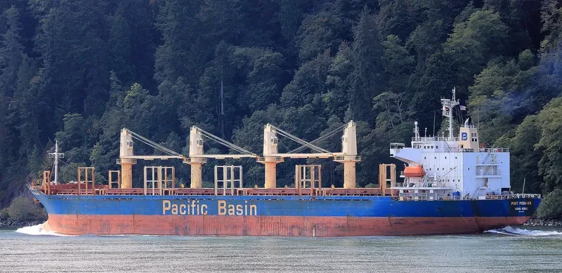 PORT PEGASUS Bulk Carrier IMO 9284001 photo 9