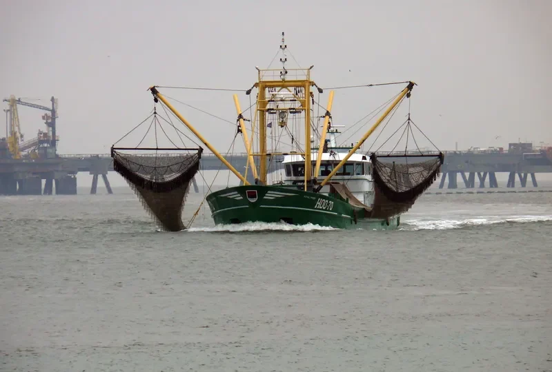 ROYAL FRYSK General Cargo IMO 9284099 photo 2