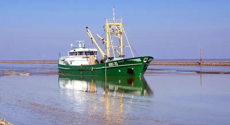 ROYAL FRYSK General Cargo IMO 9284099 photo 4
