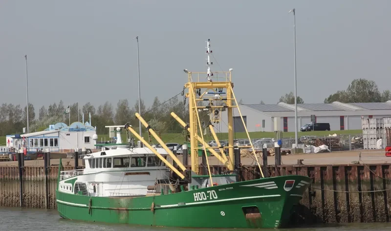 ROYAL FRYSK General Cargo IMO 9284099 photo 6