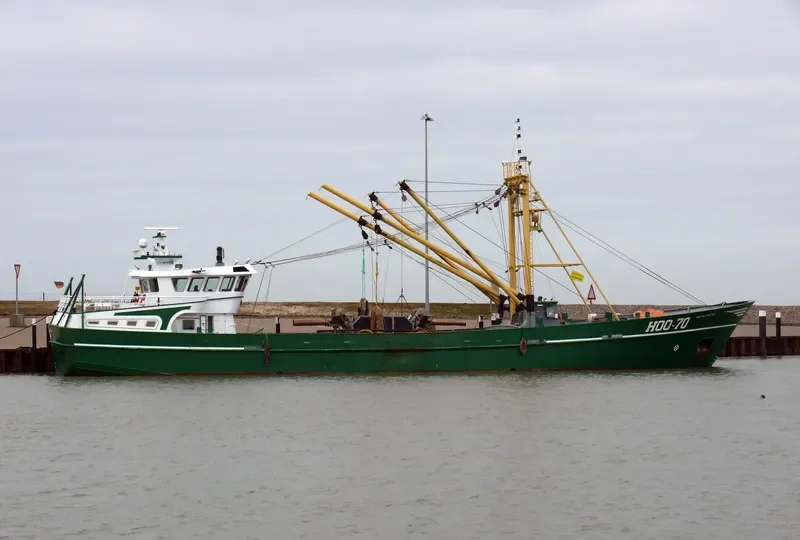 ROYAL FRYSK General Cargo IMO 9284099 photo 8