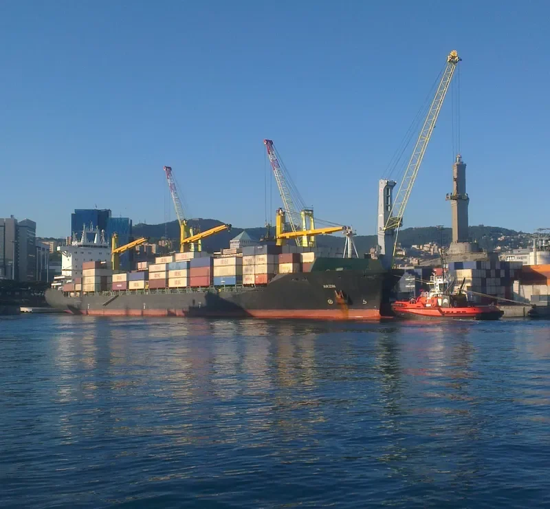 ARZIN Container Ship IMO 9284142