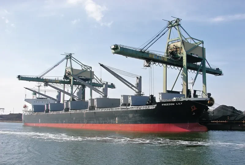 FREEDOM LINE Bulk Carrier IMO 9284245