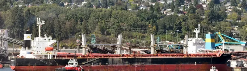 FREEDOM LINE Bulk Carrier IMO 9284245 photo 4