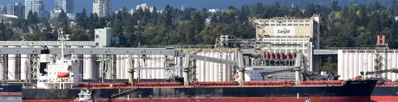 FREEDOM LINE Bulk Carrier IMO 9284245 photo 5
