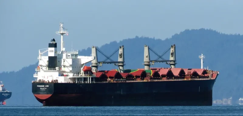 FREEDOM LINE Bulk Carrier IMO 9284245 photo 7