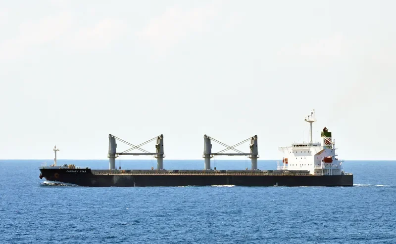 OCEAN GRACE Bulk Carrier IMO 9284257 photo 2
