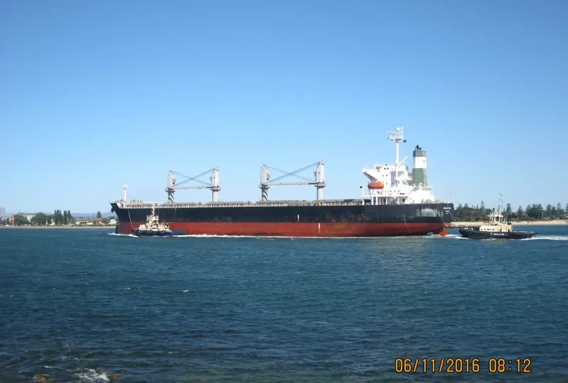 OCEAN GRACE Bulk Carrier IMO 9284257 photo 3