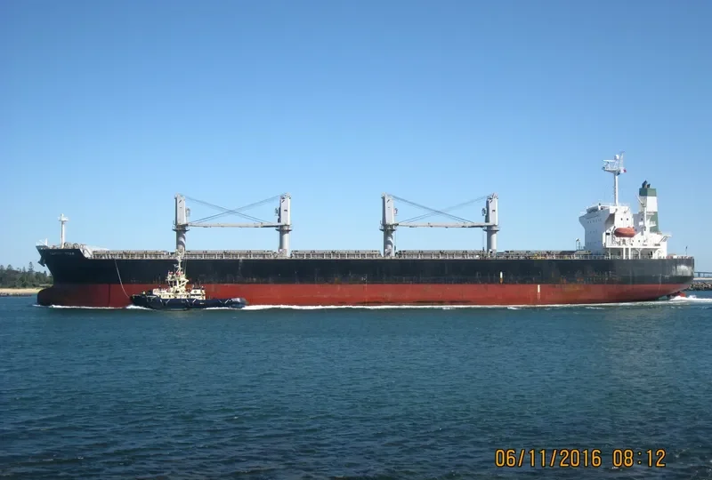 OCEAN GRACE Bulk Carrier IMO 9284257 photo 4