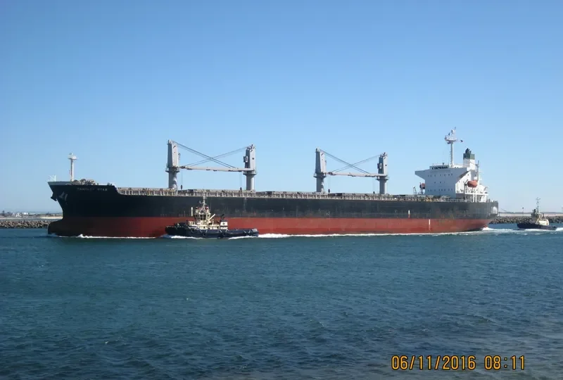 OCEAN GRACE Bulk Carrier IMO 9284257 photo 5