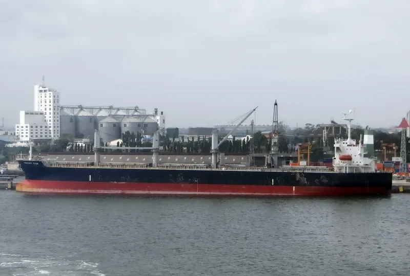 OCEAN GRACE Bulk Carrier IMO 9284257 photo 6