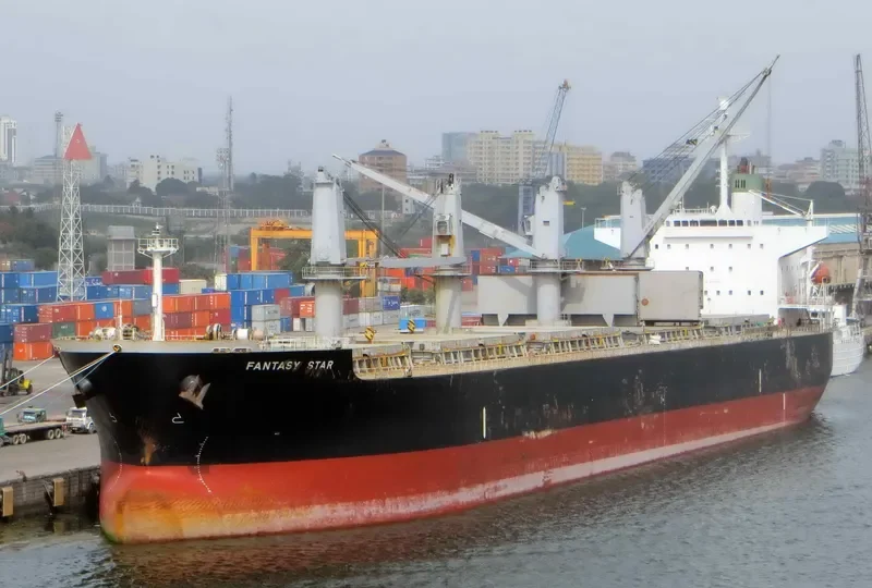 OCEAN GRACE Bulk Carrier IMO 9284257 photo 8