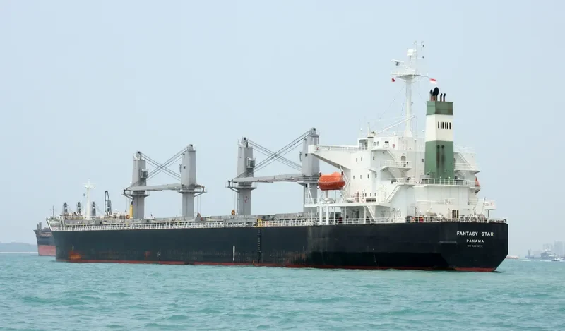 OCEAN GRACE Bulk Carrier IMO 9284257 photo 9