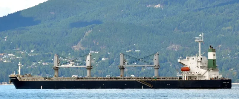 OCEAN GRACE Bulk Carrier IMO 9284257 photo 10