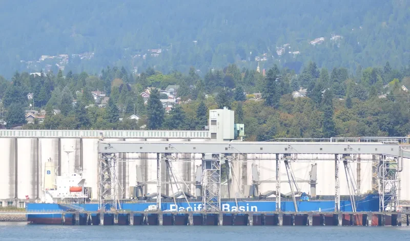 BAKER RIVER Bulk Carrier IMO 9284269 photo 9