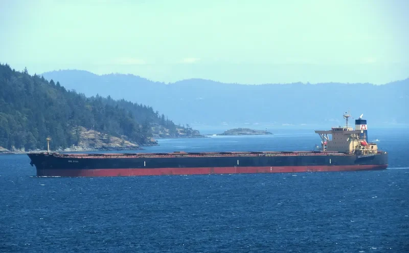 BIG FISH Bulk Carrier IMO 9284295