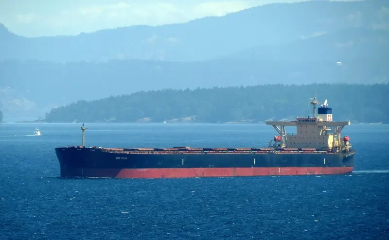 BIG FISH Bulk Carrier IMO 9284295 photo 2