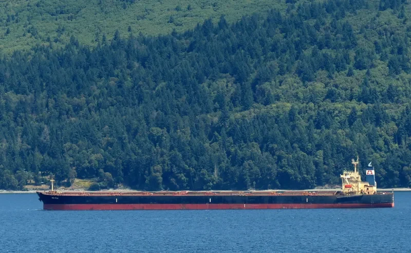 BIG FISH Bulk Carrier IMO 9284295 photo 3