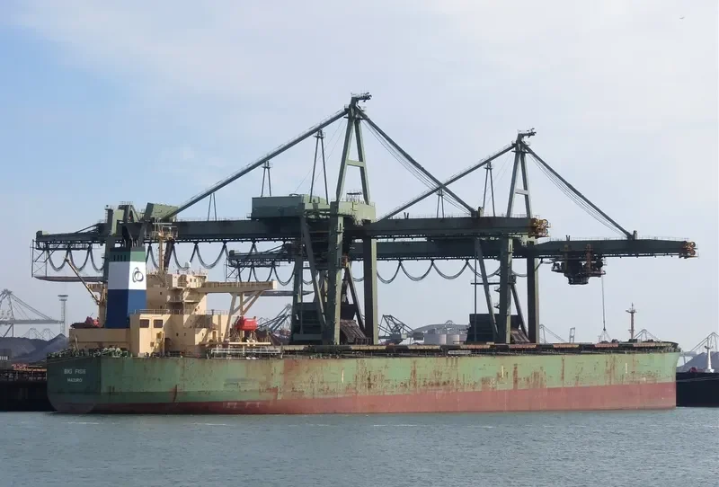 BIG FISH Bulk Carrier IMO 9284295 photo 4