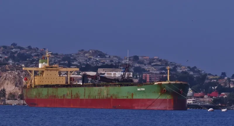 BIG FISH Bulk Carrier IMO 9284295 photo 5