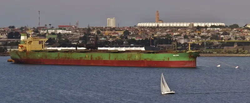 BIG FISH Bulk Carrier IMO 9284295 photo 6