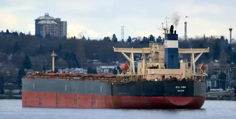 BIG FISH Bulk Carrier IMO 9284295 photo 7