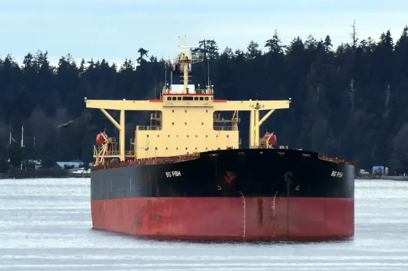 BIG FISH Bulk Carrier IMO 9284295 photo 8