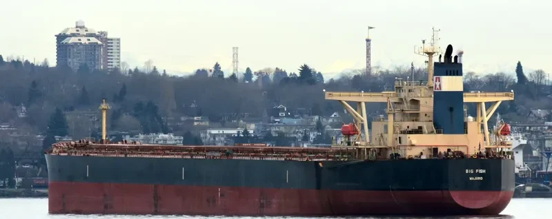 BIG FISH Bulk Carrier IMO 9284295 photo 9