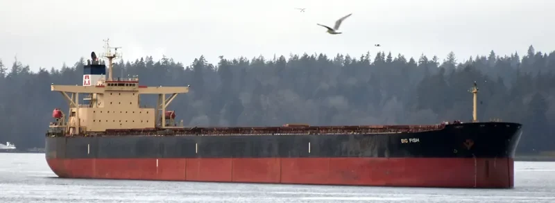 BIG FISH Bulk Carrier IMO 9284295 photo 10