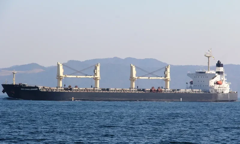 SSI CHALLENGER Bulk Carrier IMO 9284300 photo 2