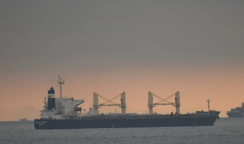 SSI CHALLENGER Bulk Carrier IMO 9284300 photo 4