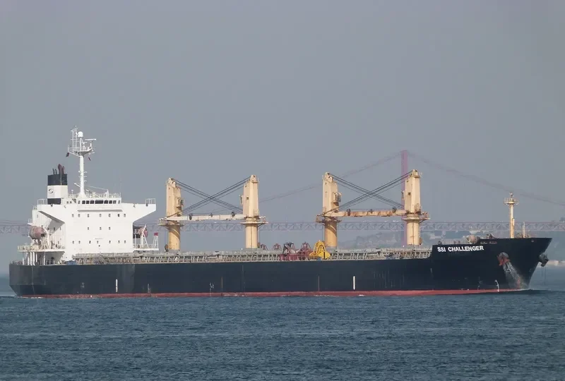 SSI CHALLENGER Bulk Carrier IMO 9284300 photo 6