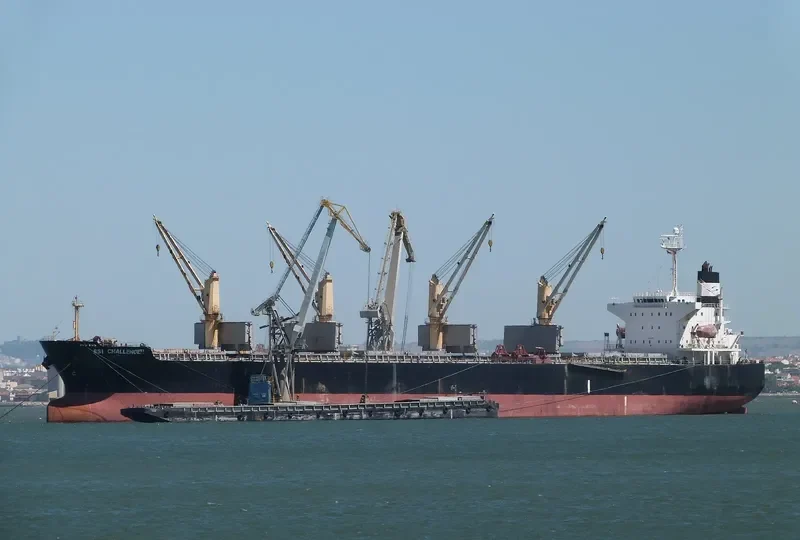 SSI CHALLENGER Bulk Carrier IMO 9284300 photo 7