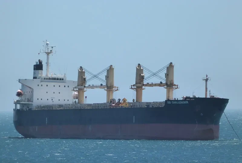 SSI CHALLENGER Bulk Carrier IMO 9284300 photo 8