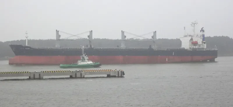 ZHONG HAI HANG 11 Bulk Carrier IMO 9284348 photo 5