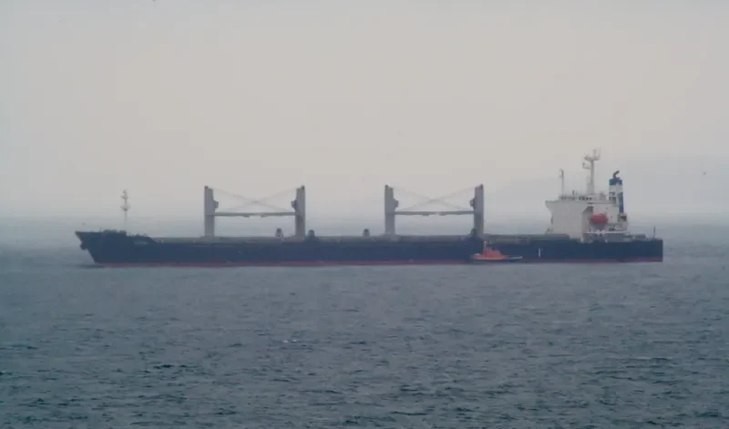 ZHONG HAI HANG 11 Bulk Carrier IMO 9284348 photo 6