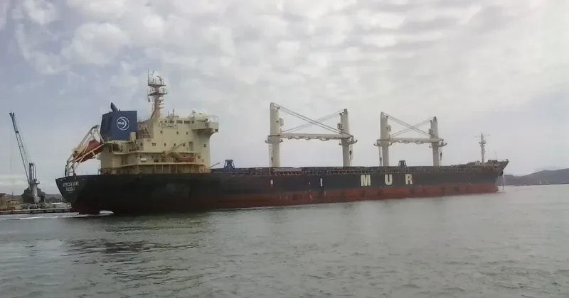 AFRICAN HAWK Bulk Carrier IMO 9284362 photo 3