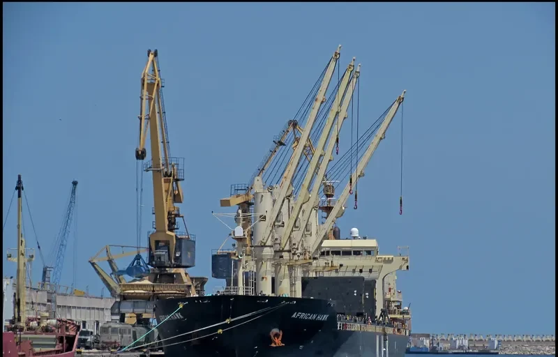 AFRICAN HAWK Bulk Carrier IMO 9284362 photo 4