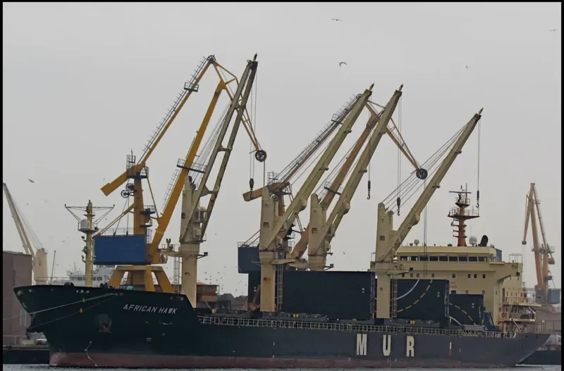 AFRICAN HAWK Bulk Carrier IMO 9284362 photo 6