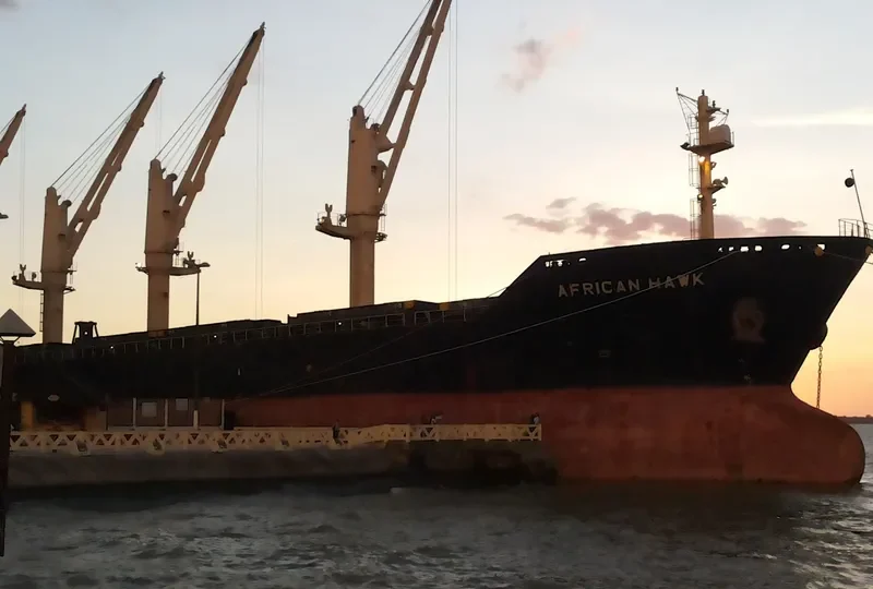 AFRICAN HAWK Bulk Carrier IMO 9284362 photo 7