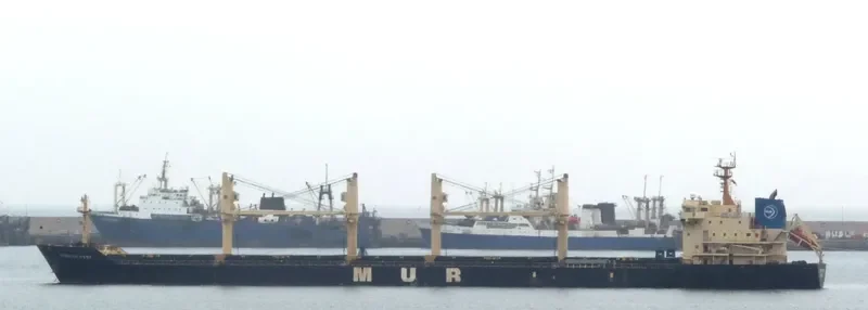 AFRICAN HAWK Bulk Carrier IMO 9284362 photo 8