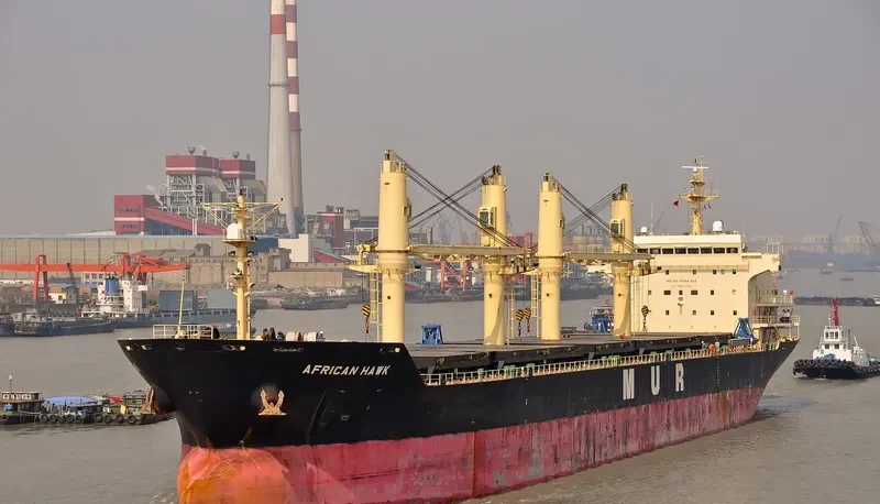 AFRICAN HAWK Bulk Carrier IMO 9284362 photo 10