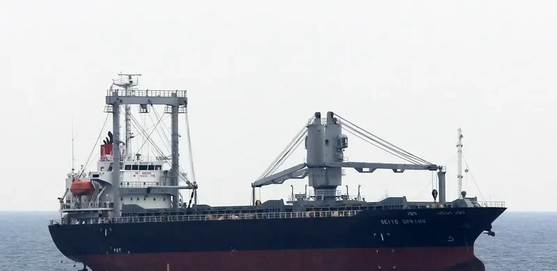 SEIYO SPRING General Cargo IMO 9284398 photo 3