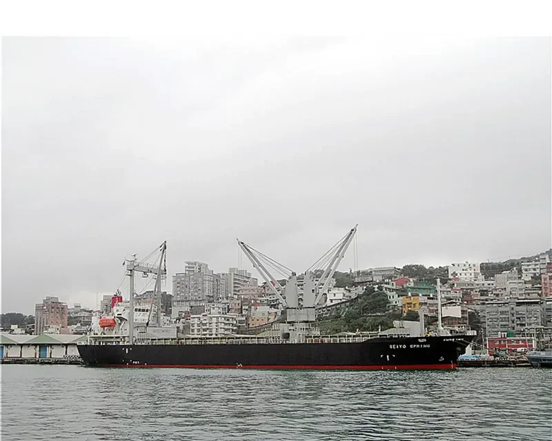 SEIYO SPRING General Cargo IMO 9284398 photo 7