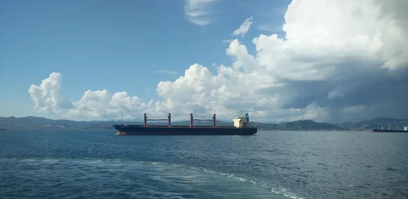 ALESSANDRA M Bulk Carrier IMO 9284518